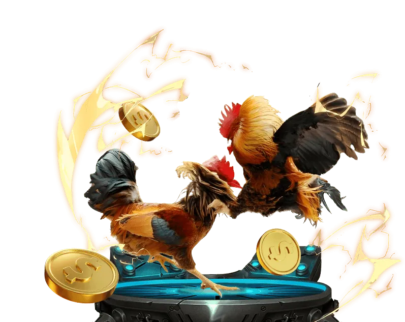 Cách 79king sử dụng dữ liệu để bảo vệ người dùng